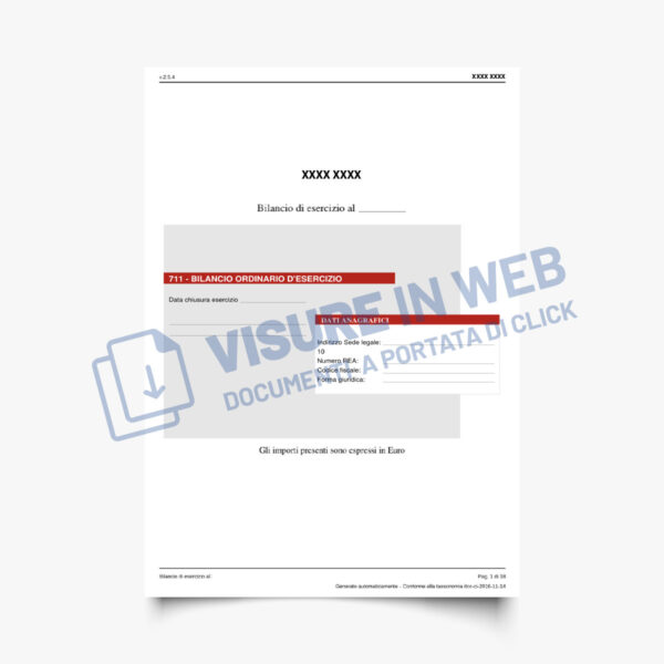 camera commercio bilancio ufficiale